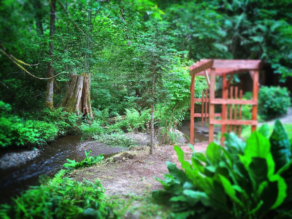 Robin Hood Village Resort - photo 116