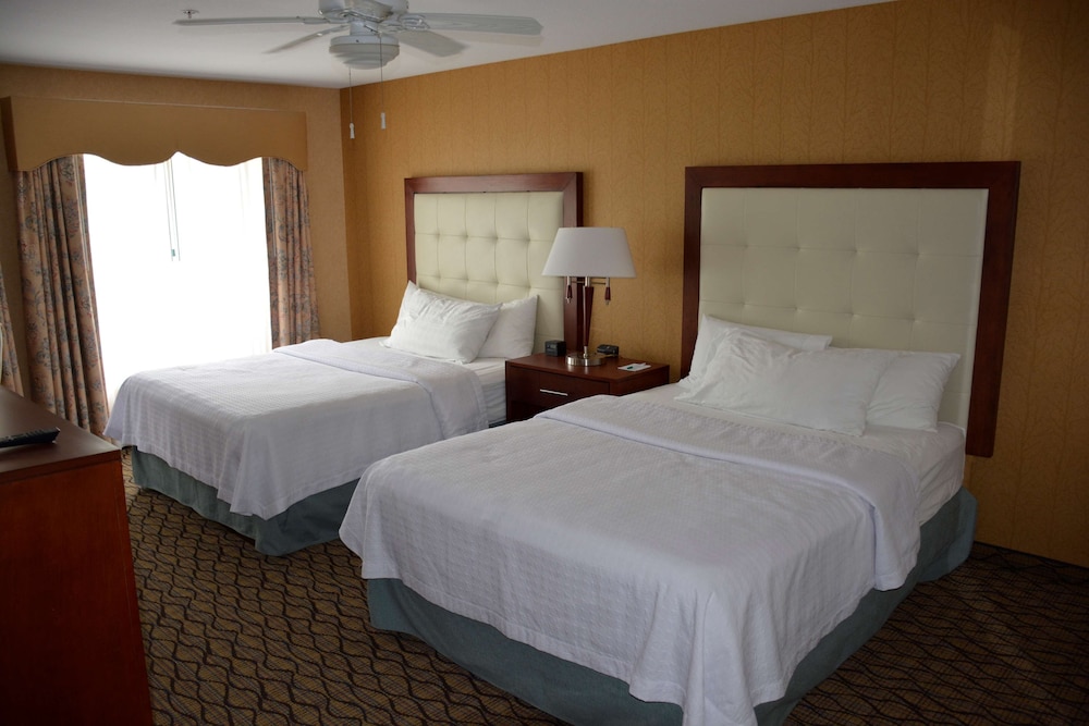 Homewood Suites by Hilton Brighton - photo 10