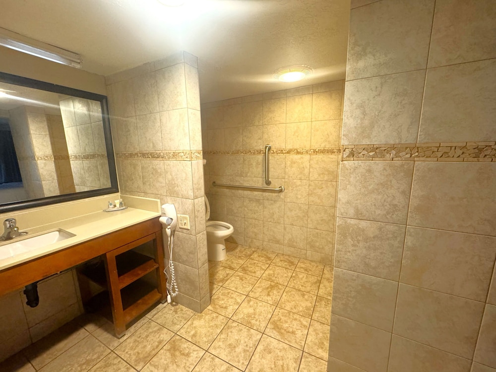Comfort Inn Salt Lake City Downtown - photo 56