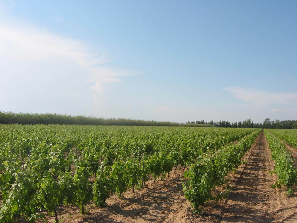 Domaine La Yole Wine Resort — hotel in Vendres