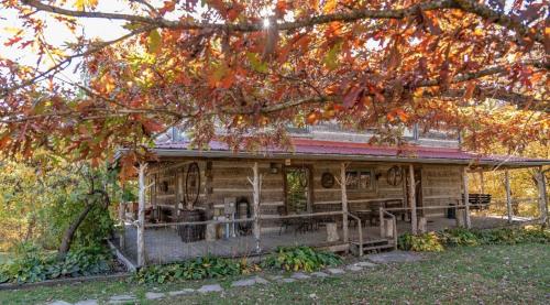 Bourb Inn - photo 4