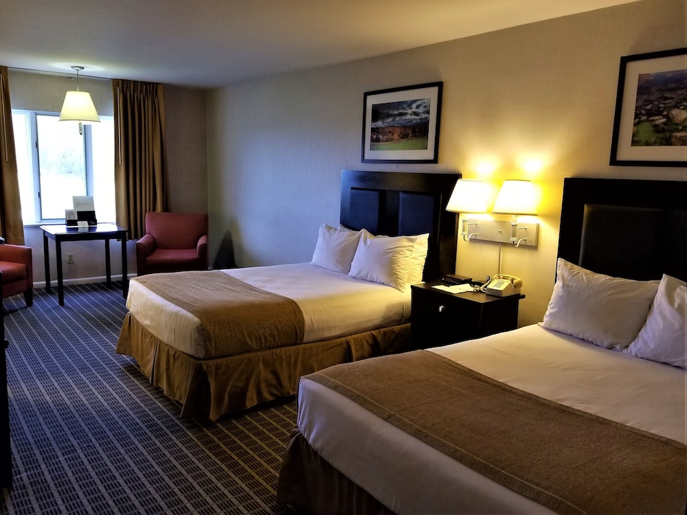 Ramada by Wyndham Washington - photo 8