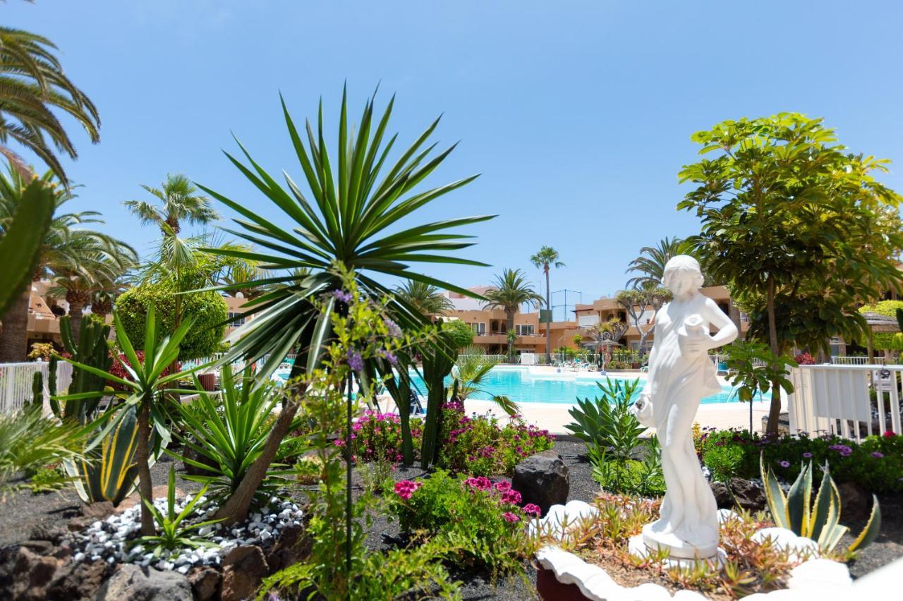 BeachApartment — 4-Star Luxury Hotel in Corralejo, Spain
