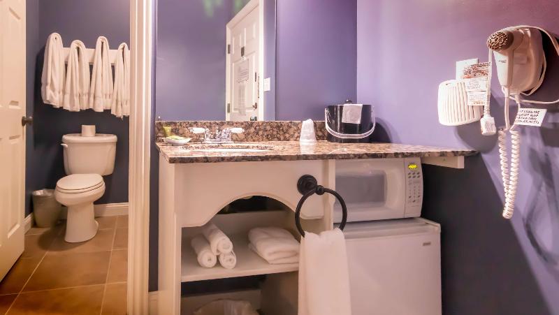 Depot Inn and Suites - photo 37