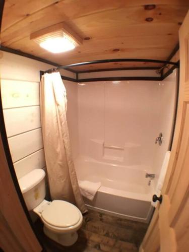 Tiny Home Cottage Near the Smokies #9 Frieda - photo 10