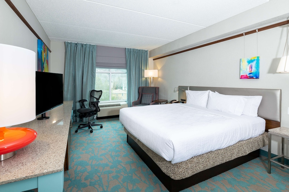 Hilton Garden Inn Asheville Downtown - photo 23