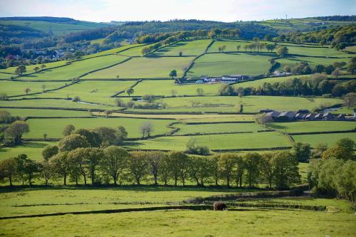 Coedmor Cottages — Lampeter — photo 4