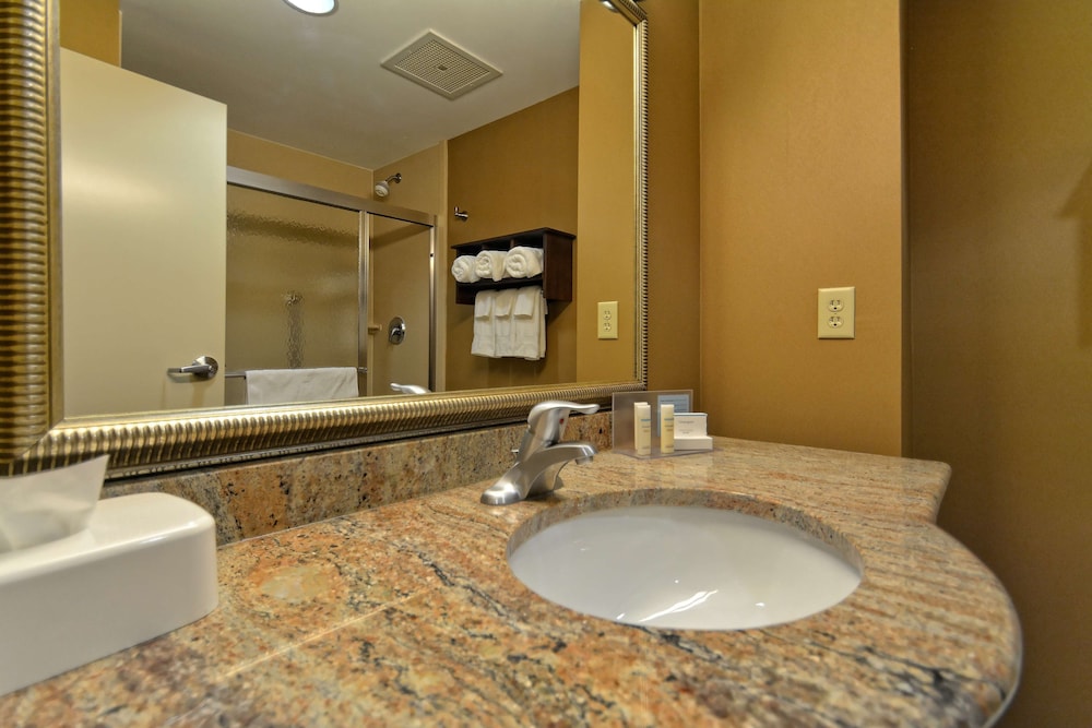 Hampton Inn Geneseo - photo 27
