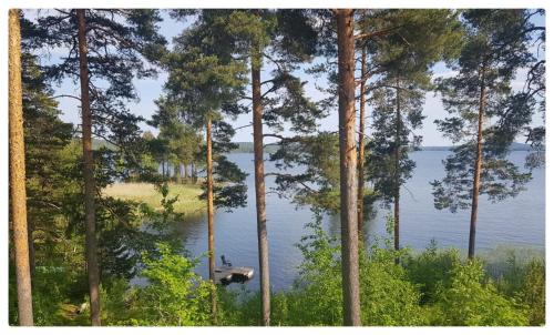 Rantatalo Onnelan Lumo 12 Hlöä 220M2 Himos 10Min Autolla in Jaemsae, Finland