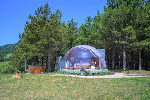 Bubble Room Experience — hotel in Casteldelci