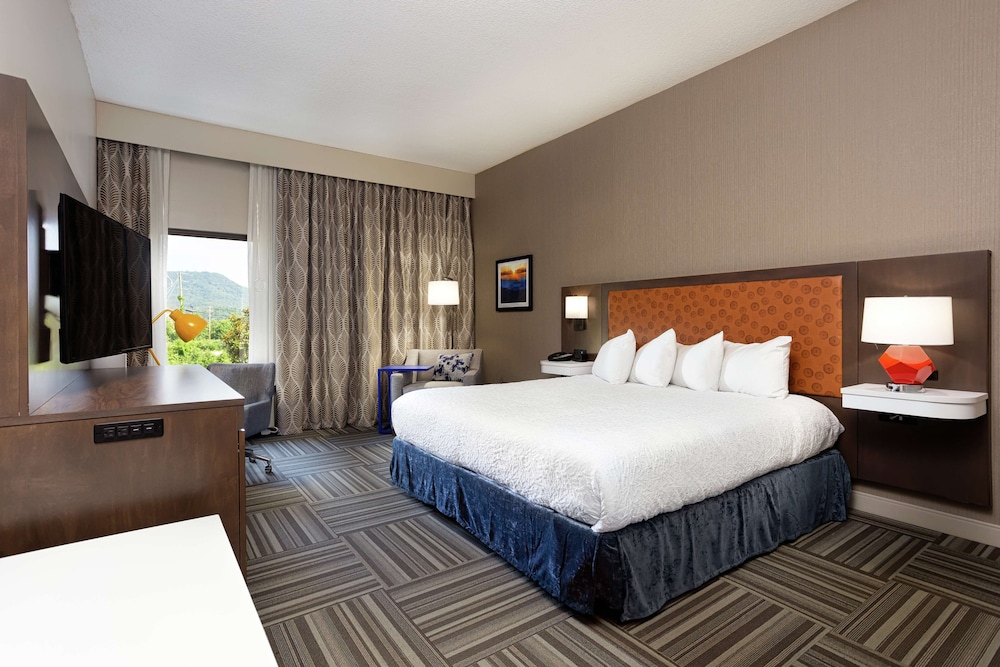 Hampton Inn Kingsport - photo 5