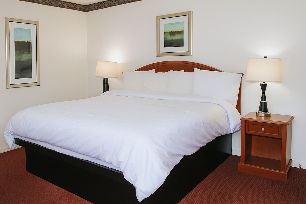 Ventura Motel - photo 16