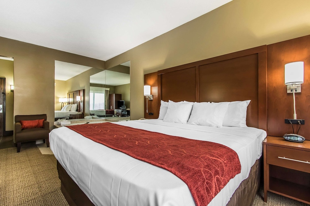 Comfort Suites Effingham Central - photo 21