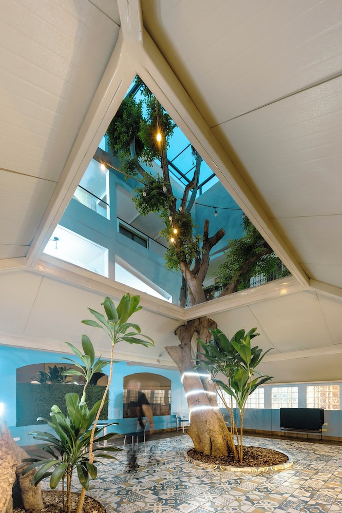 Hotel Suites Kino