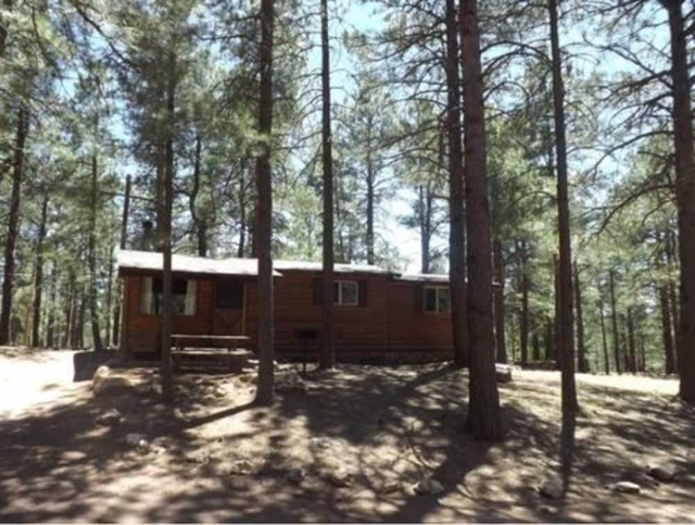 Arizona Mountain Inn and Cabins - photo 58