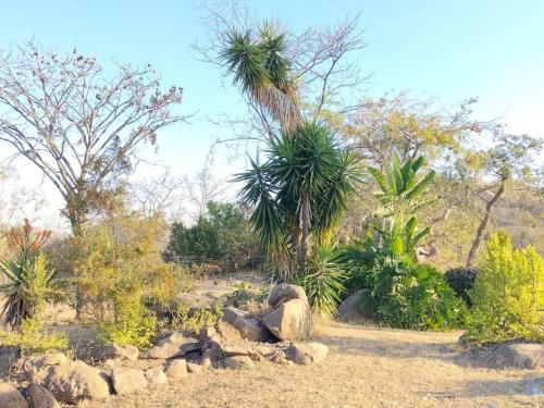 The Sanctuary Self Catering Accommodation — 4-Star Luxury Hotel in Nelspruit, South Africa