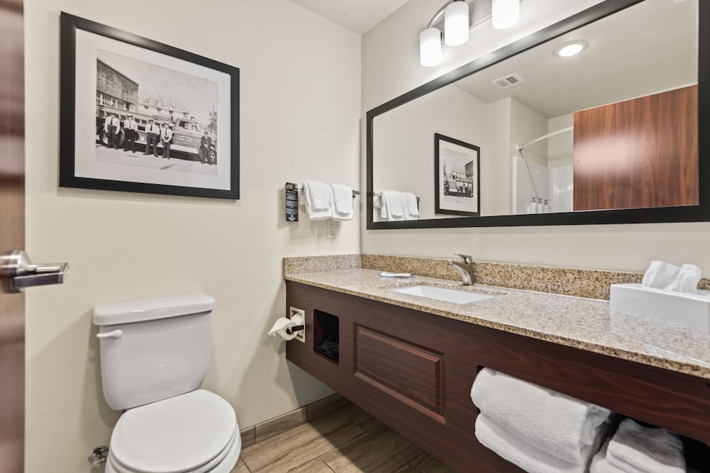 Cobblestone Hotel & Suites Cullman - photo 23