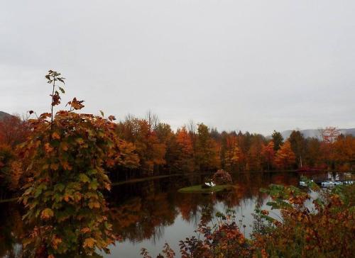 Wells River Motel - photo 31