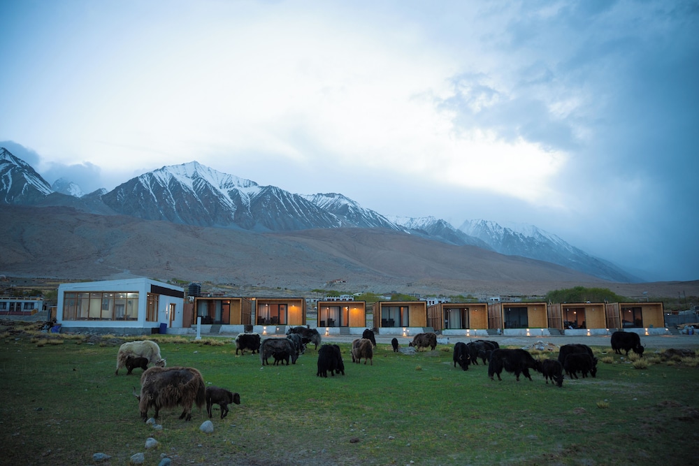 Saser Scenic Pangong - last minute hotel in Leh