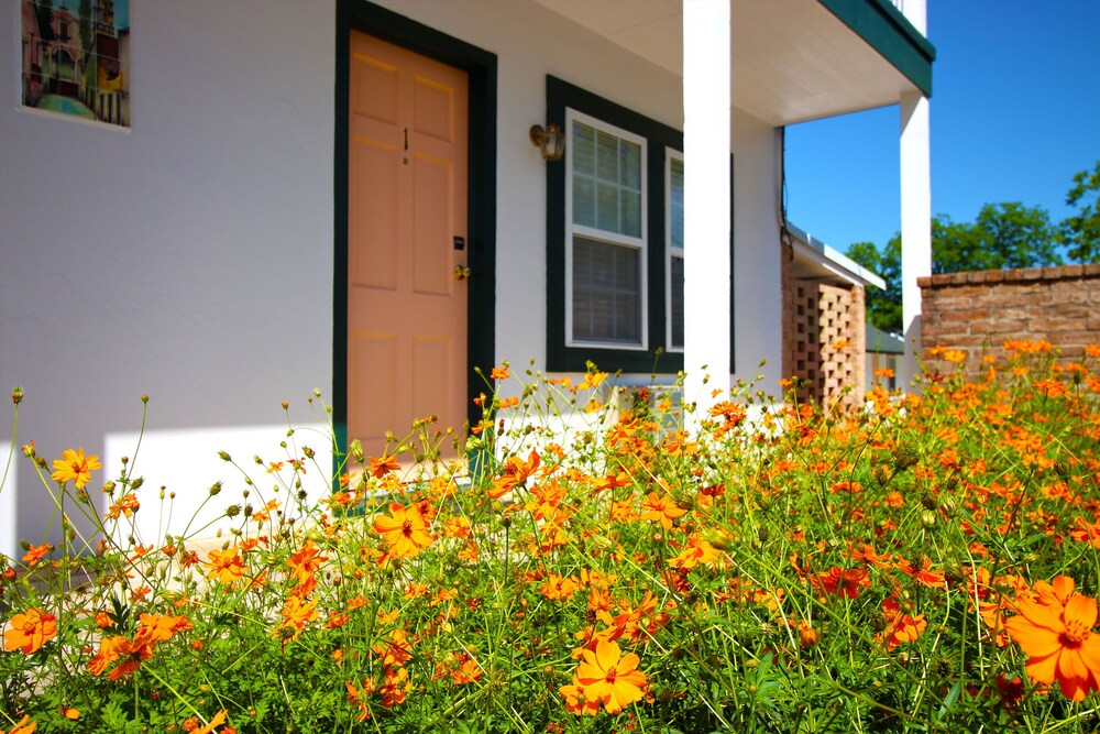 Peach Tree Inn & Suites - photo 61