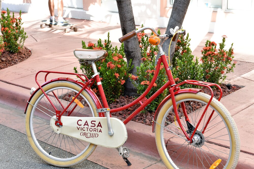 Casa Victoria Orchid Hotel - photo 25