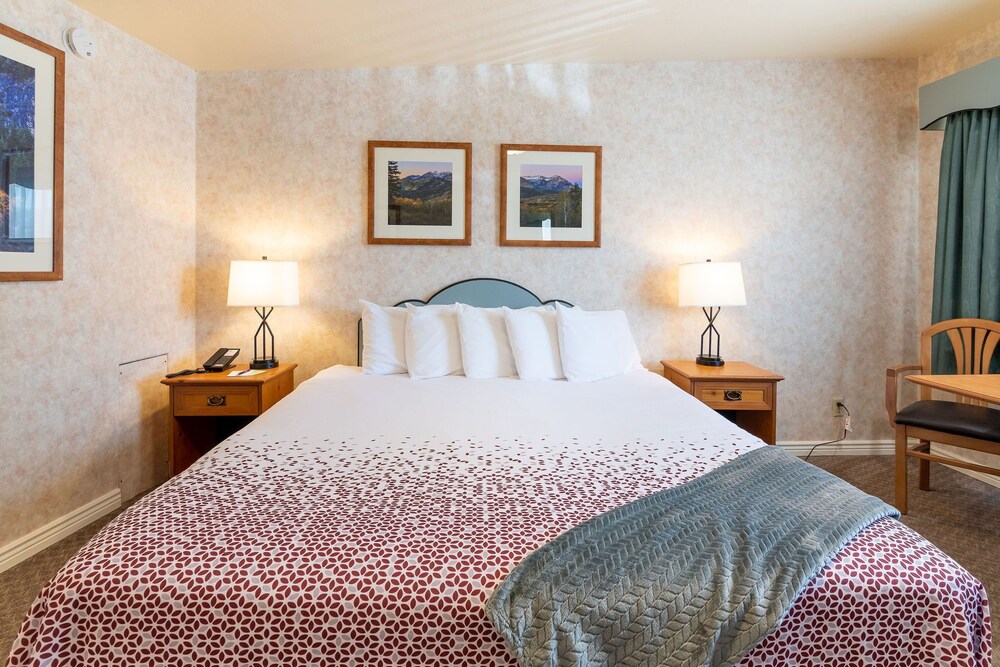 Swiss Alps Inn - photo 16