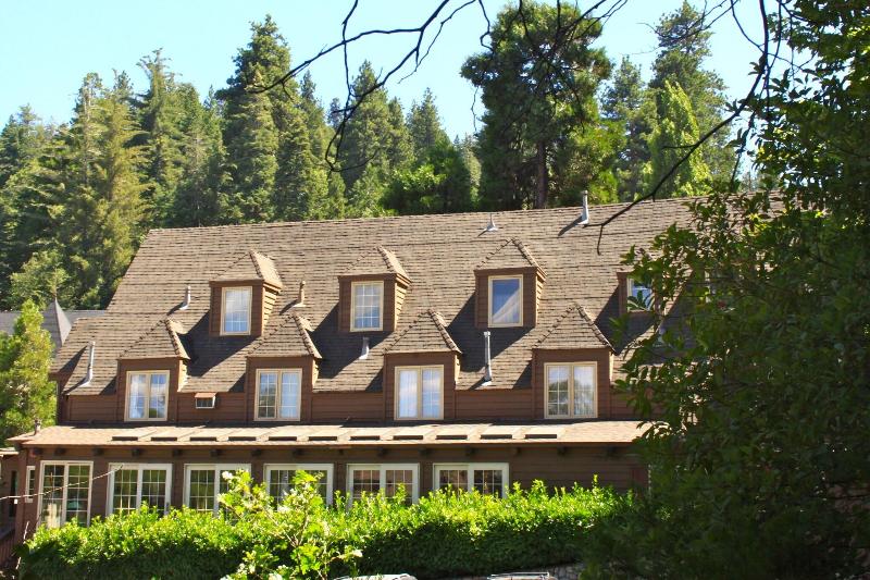 Saddleback Inn at Lake Arrowhead - photo 8