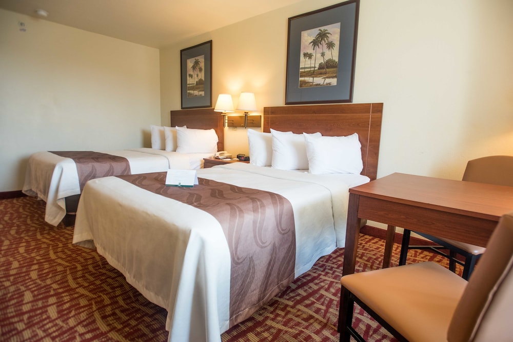 Quality Inn At Town Center - photo 9