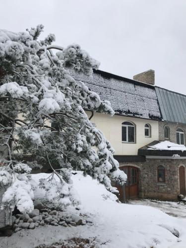 Mary Inn — hotel in Ostrov