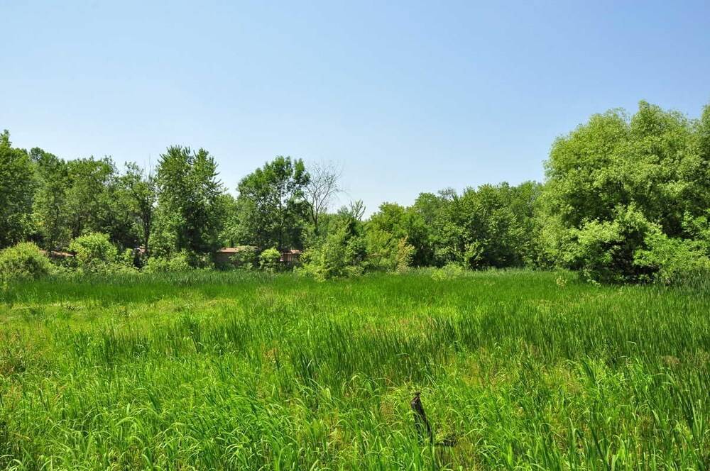 Fremont Campground - photo 47