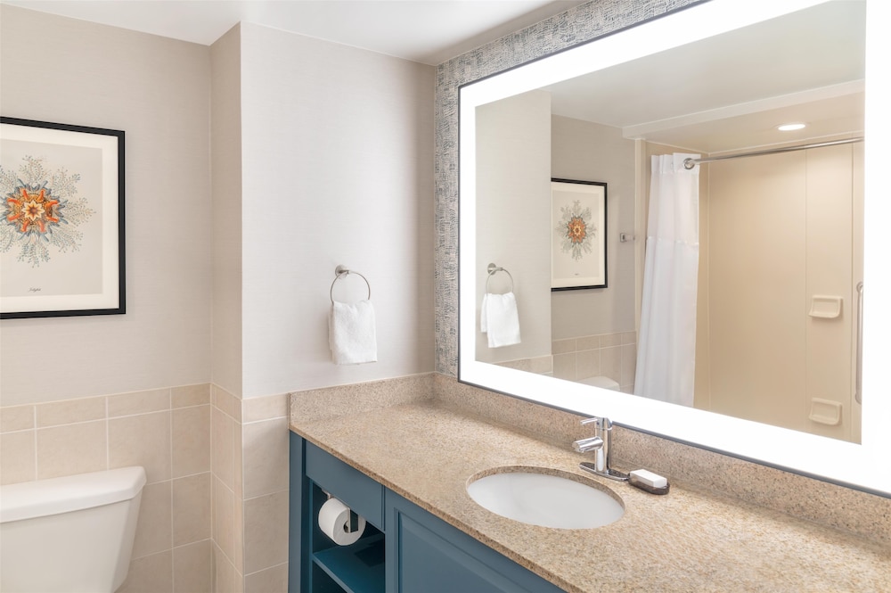 Embassy Suites by Hilton Fort Myers Estero - photo 31