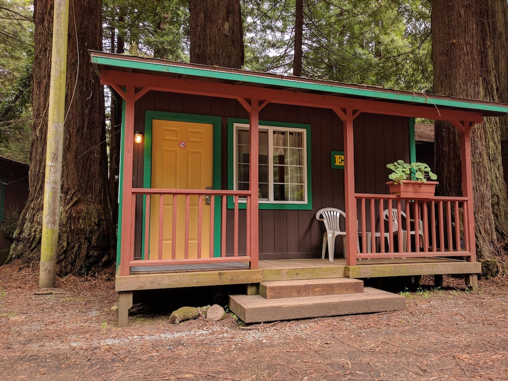 Emerald Forest Cabins - photo 151
