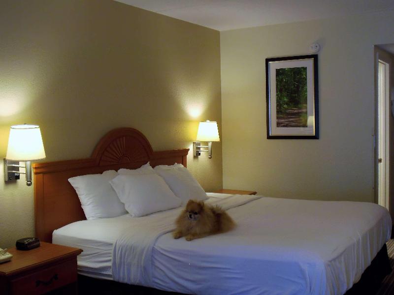 Best Western Of Murphy - photo 11