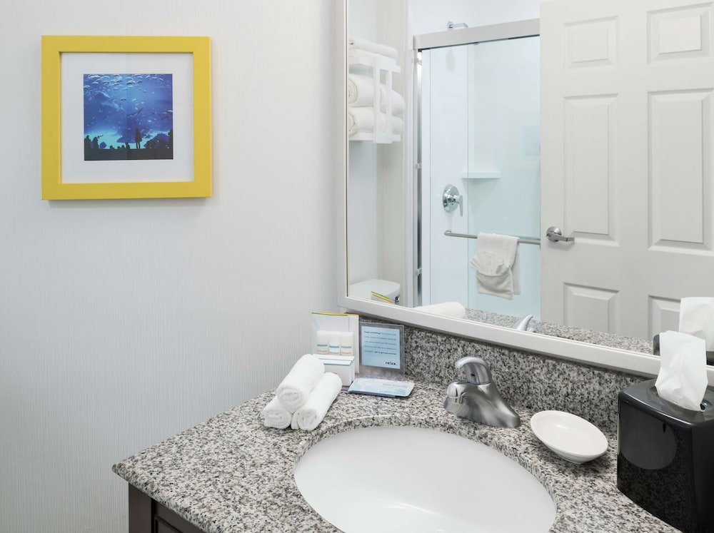 Hampton Inn & Suites Atlanta Downtown - photo 32