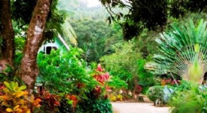 Coffeeriver Cottages in Marigot, Dominica