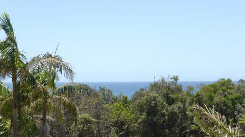 Spookys 5 5 8 Bay St — Yamba