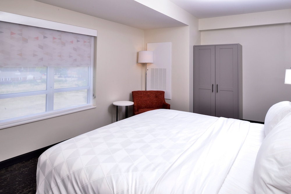 Holiday Inn Hotel & Suites Farmington Hills Detroit NW by IHG - photo 12