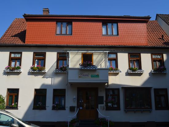 Hotel Pension Blume in Bad Pyrmont, Germany
