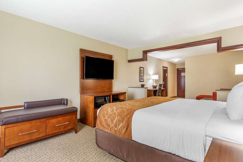 Comfort Suites Grand Rapids North - photo 27
