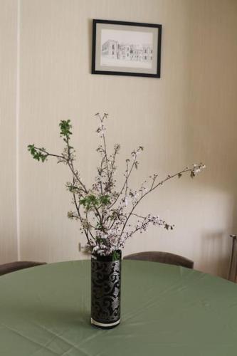 Tsiklauri Luxurious Apartment in the City Centre