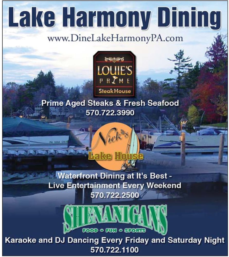 Lake Harmony Inn - photo 49