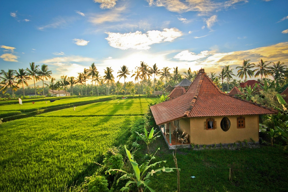 Dragonfly Village - last minute hotel in Ubud