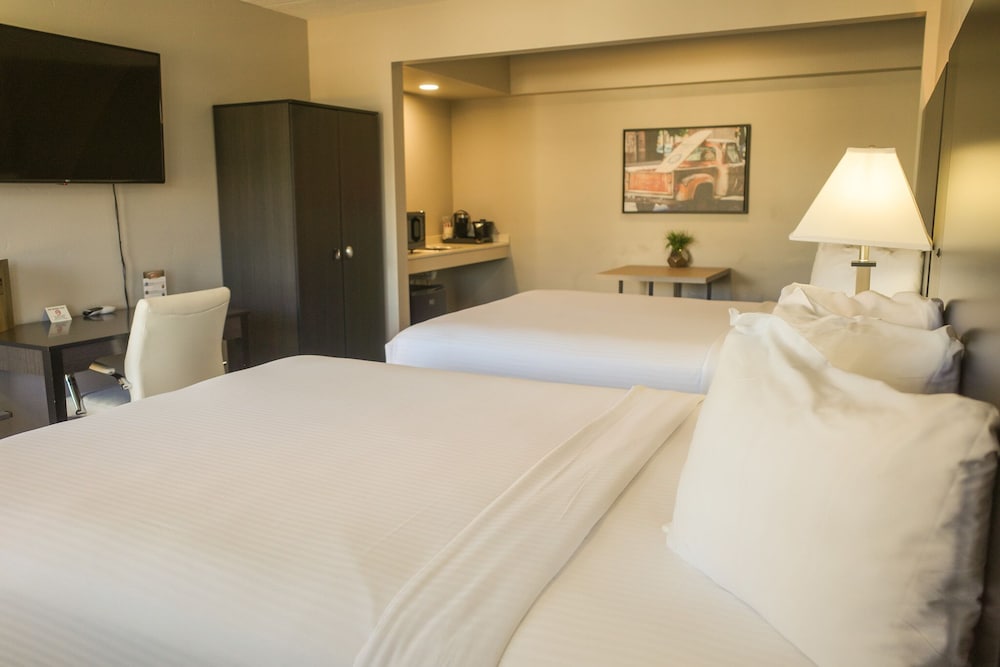 Americana Modern Hotel - photo 28