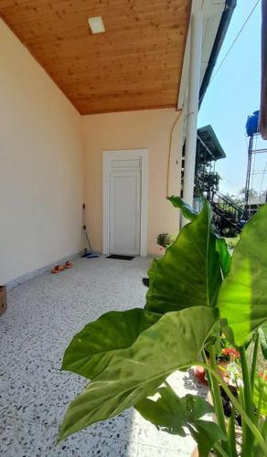BaBa guesthouse — Mart'vili — photo 4