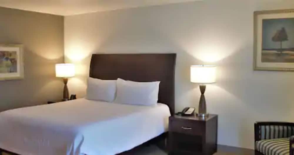 Hilton Garden Inn Warner Robins - photo 6