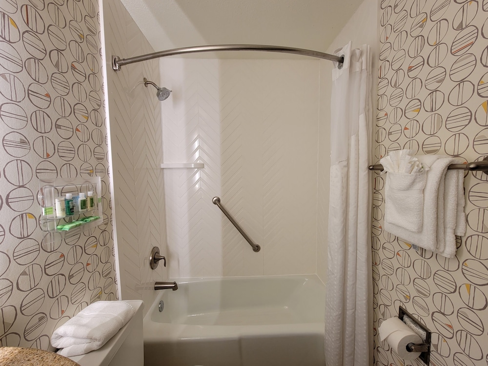 Holiday Inn Asheville East Blue Ridge PKWY by IHG - photo 14