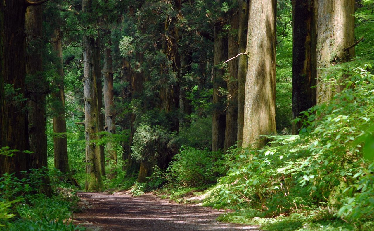 Hakone Gardens Lakeside Annex in Hakone, Japan