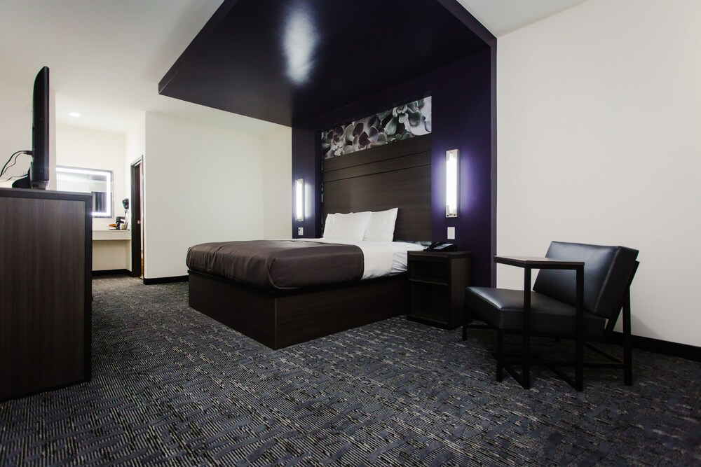 Palacio Royale Inn Boutique Katy - photo 18