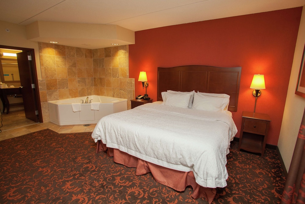 Hampton Inn Elmira Horseheads - photo 39
