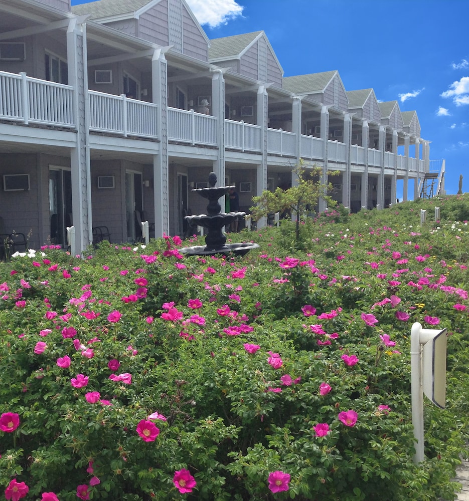 Ocean Walk Hotel - photo 29
